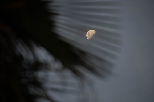 Foto d'estoc gratuïta de abstracte, capvespre, cel gris