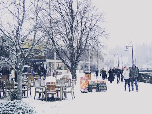 Бесплатное стоковое фото с белый, зима, зимние каникулы