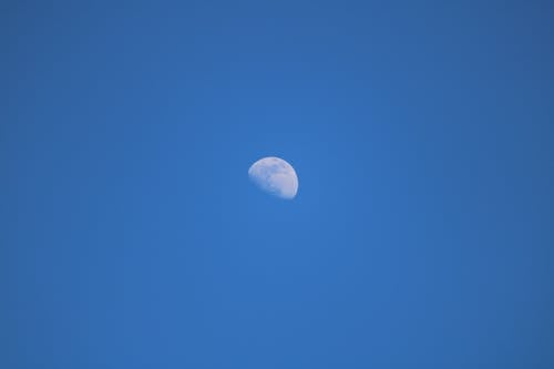 Free stock photo of day moon, half moon, light moon