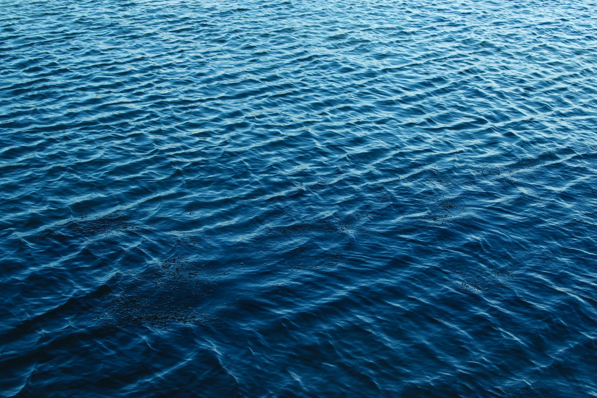 Blue Body of Water