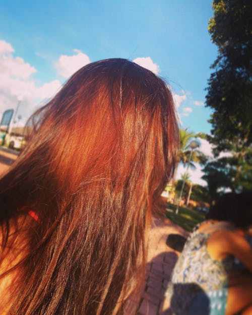 Foto stok gratis alam, berambut merah, cewek