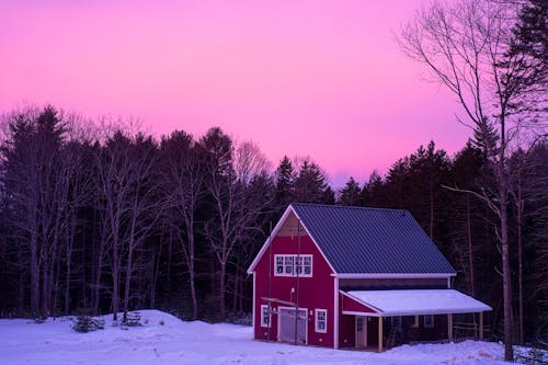 Wooden residential building located on snowy ground near dense woods with tall trees in rural area against pink sundown sky in winter time