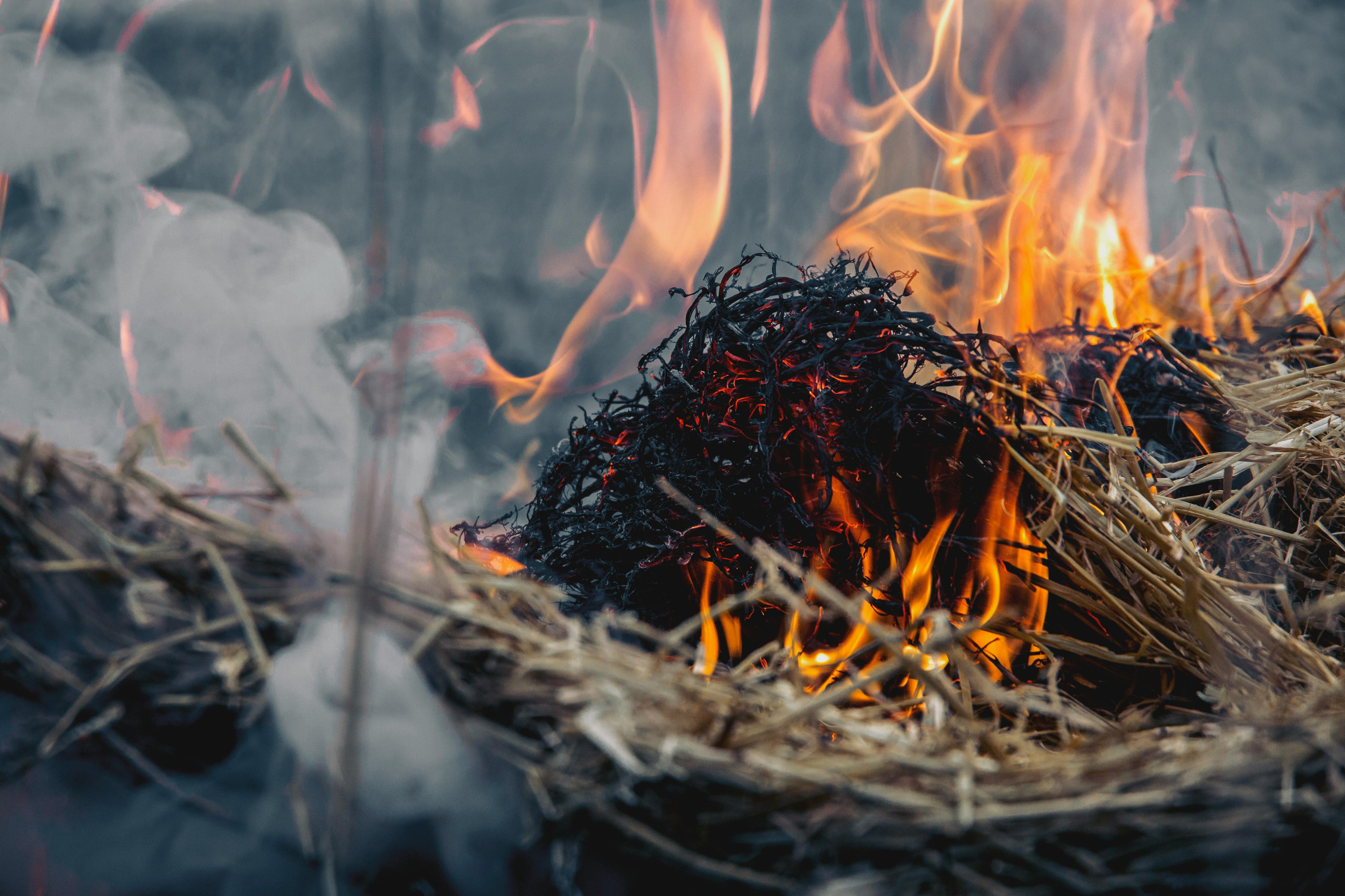 dried grass on fire