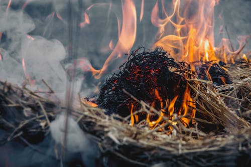 Безкоштовне стокове фото на тему «вогонь, гарячий, горіння»