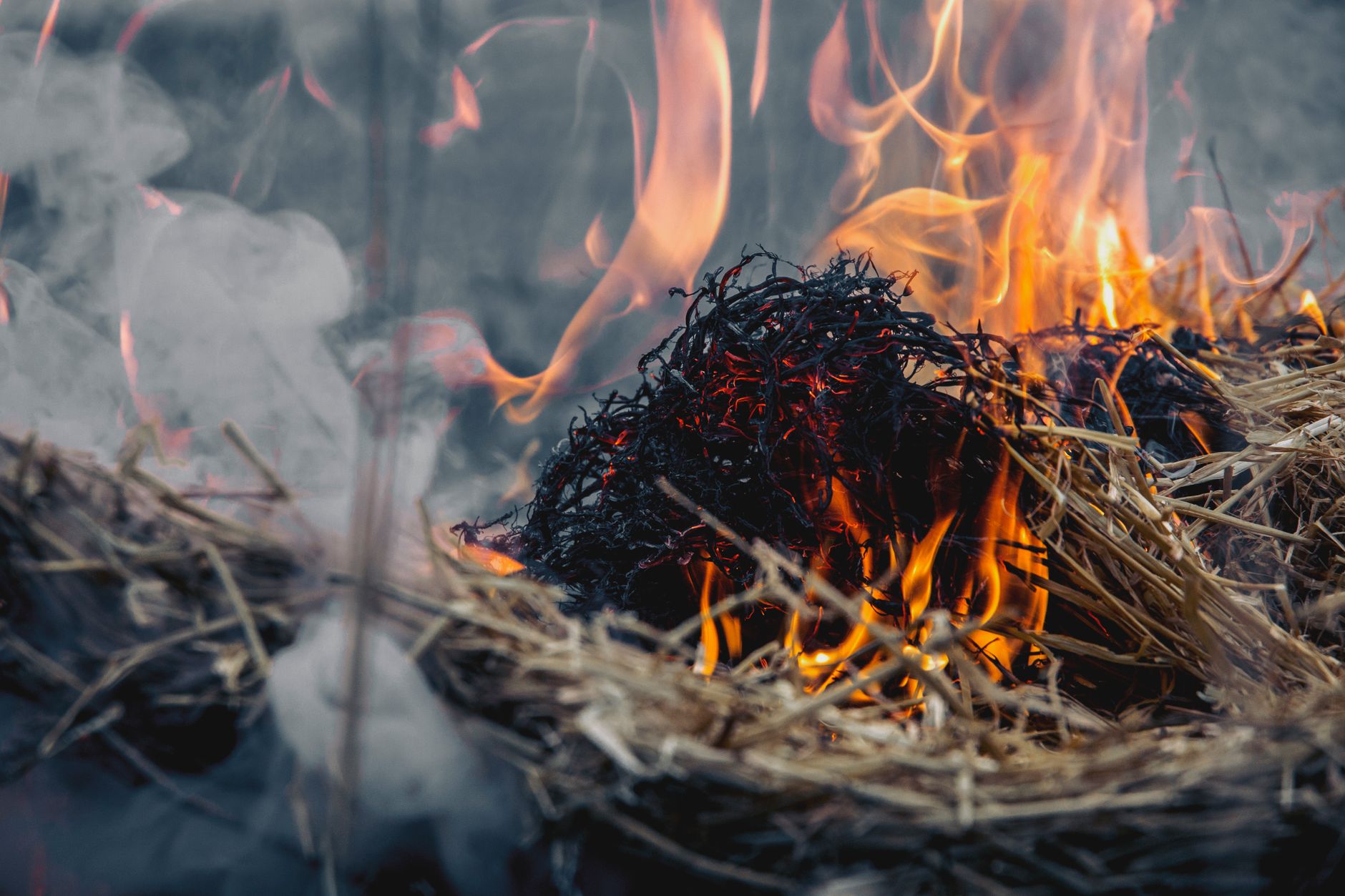 Incendiu agresiv de vegetație izbucnit în Voinești, punând în pericol întreaga zonă