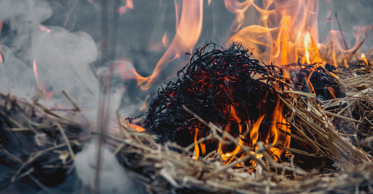 花蓮太巴塱紅糯米生活館遭祝融奪走珍貴種原 社區震驚悲痛