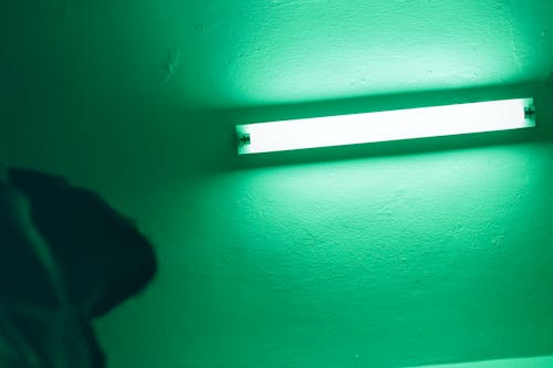 Foto profissional grátis de esperando, estilo verde, fixação de luz