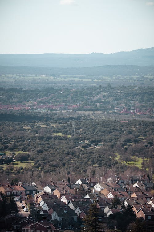 Foto d'estoc gratuïta de arbres verds, camp, cases