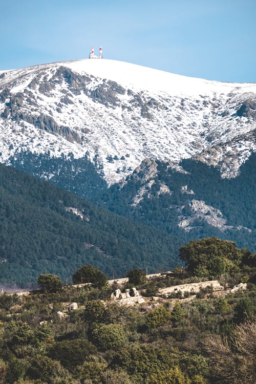 Green Trees Near Snow Covered Mountain