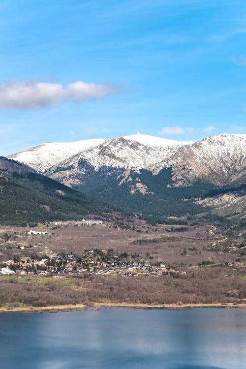 Foto profissional grátis de água, árvores, céu azul