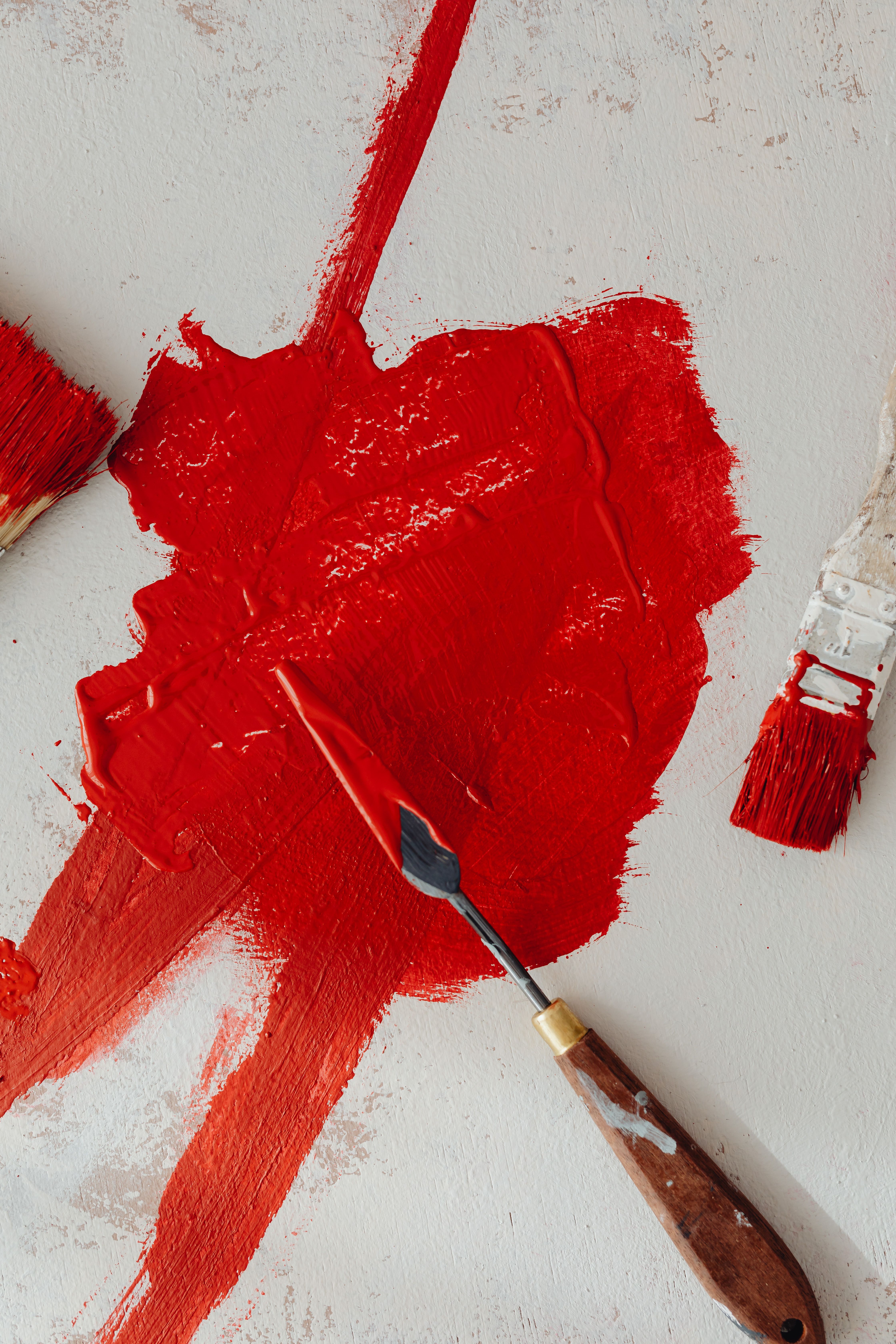 Color: Red Photos, Download The BEST Free Color: Red Stock Photos & HD ...