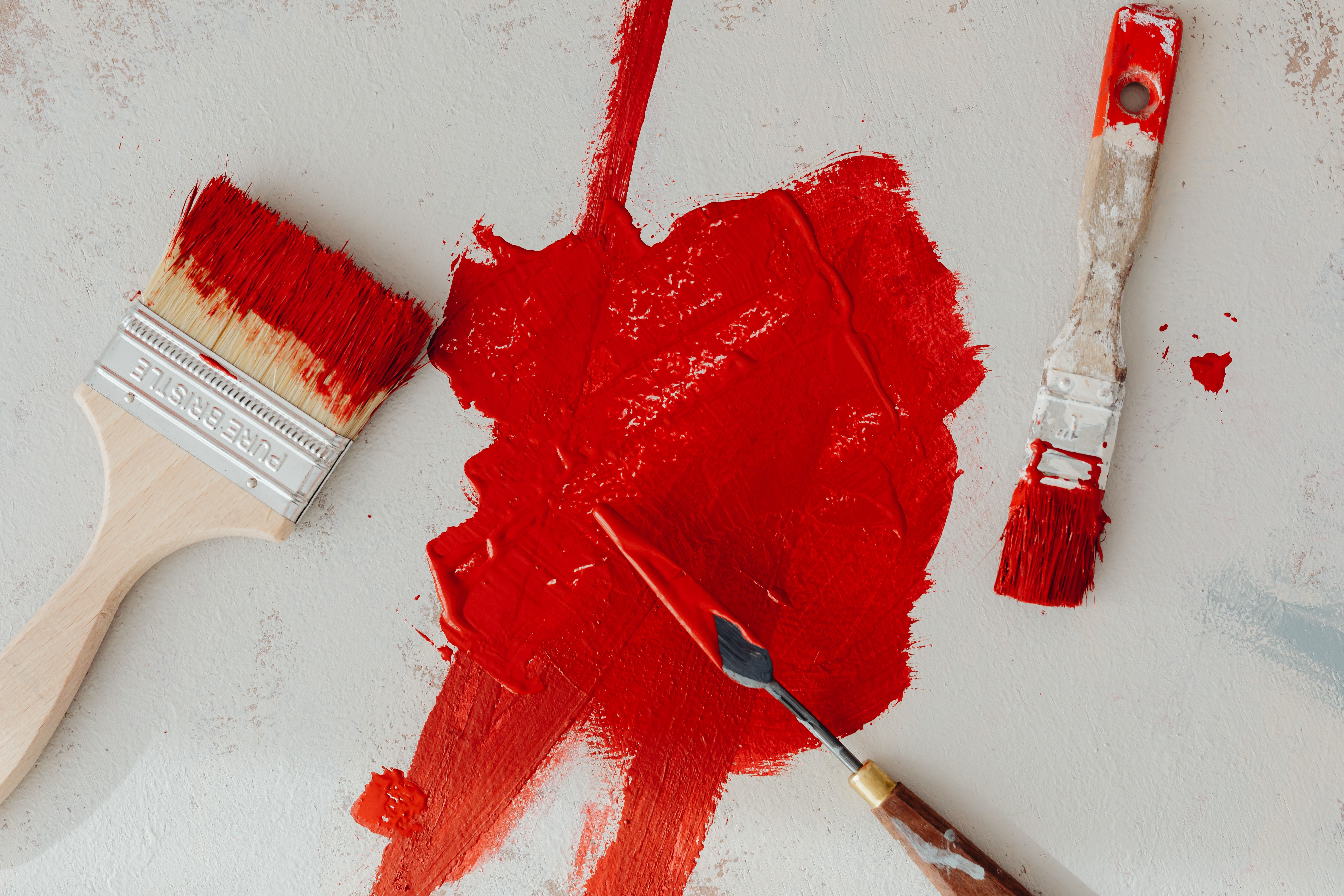 Color: Red Photos, Download The BEST Free Color: Red Stock Photos & HD ...