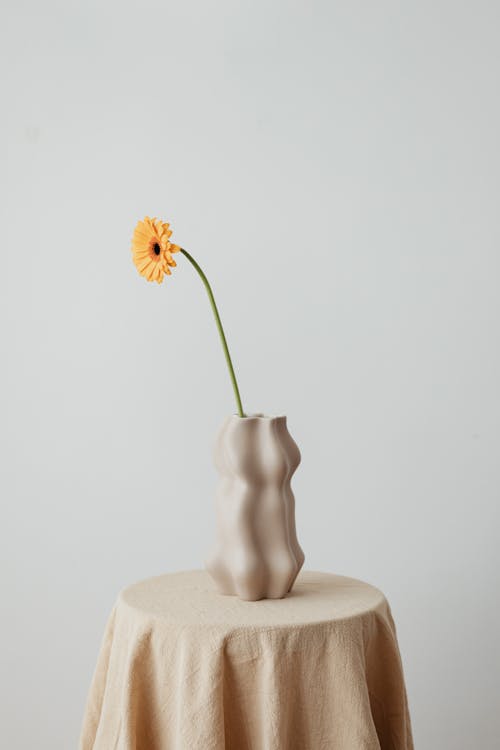 Yellow Flower in Ceramic Vase