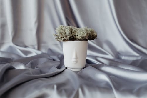 Ceramic Vase with Moss on Silky Textile