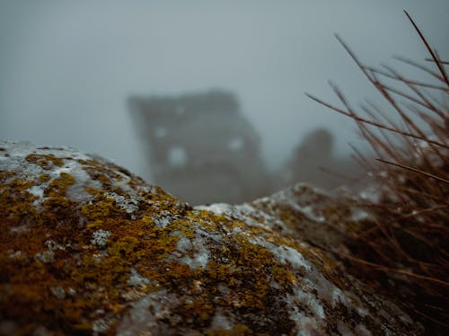 乾草, 城堡, 大雾天 的 免费素材图片