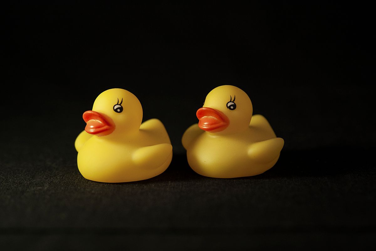 First birthday party favor ideas with two yellow rubber ducks for bath duck favors
