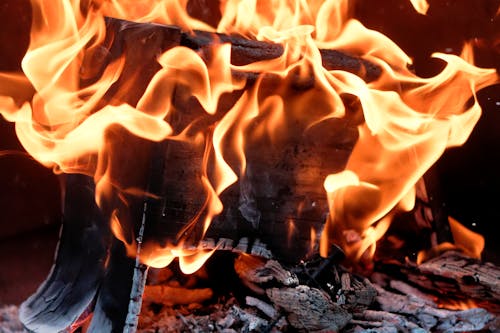 Free Burning Wood on Fire Pit Stock Photo