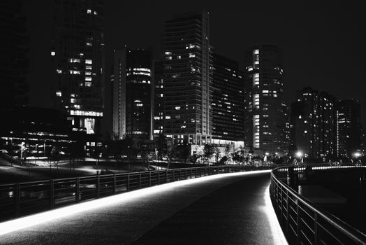 Monochrome cityscape with illuminated bridge and skyscrapers at night.