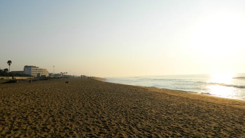 คลังภาพถ่ายฟรี ของ ชายหาด