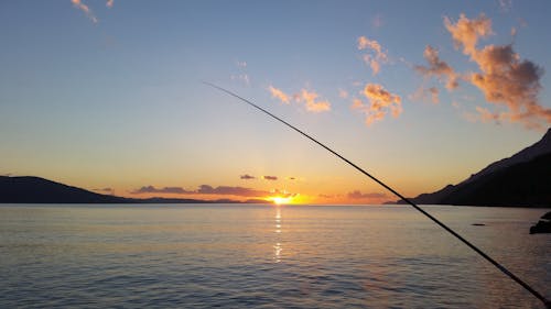在日落的水體附近釣魚竿