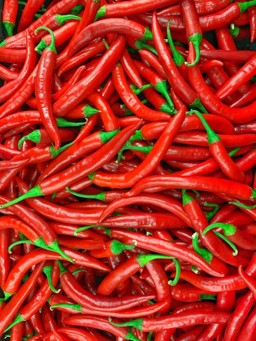 Free Red Chili Lot in Close Up Photography Stock Photo