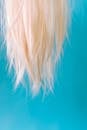 Blonde Hair on Blue Textile