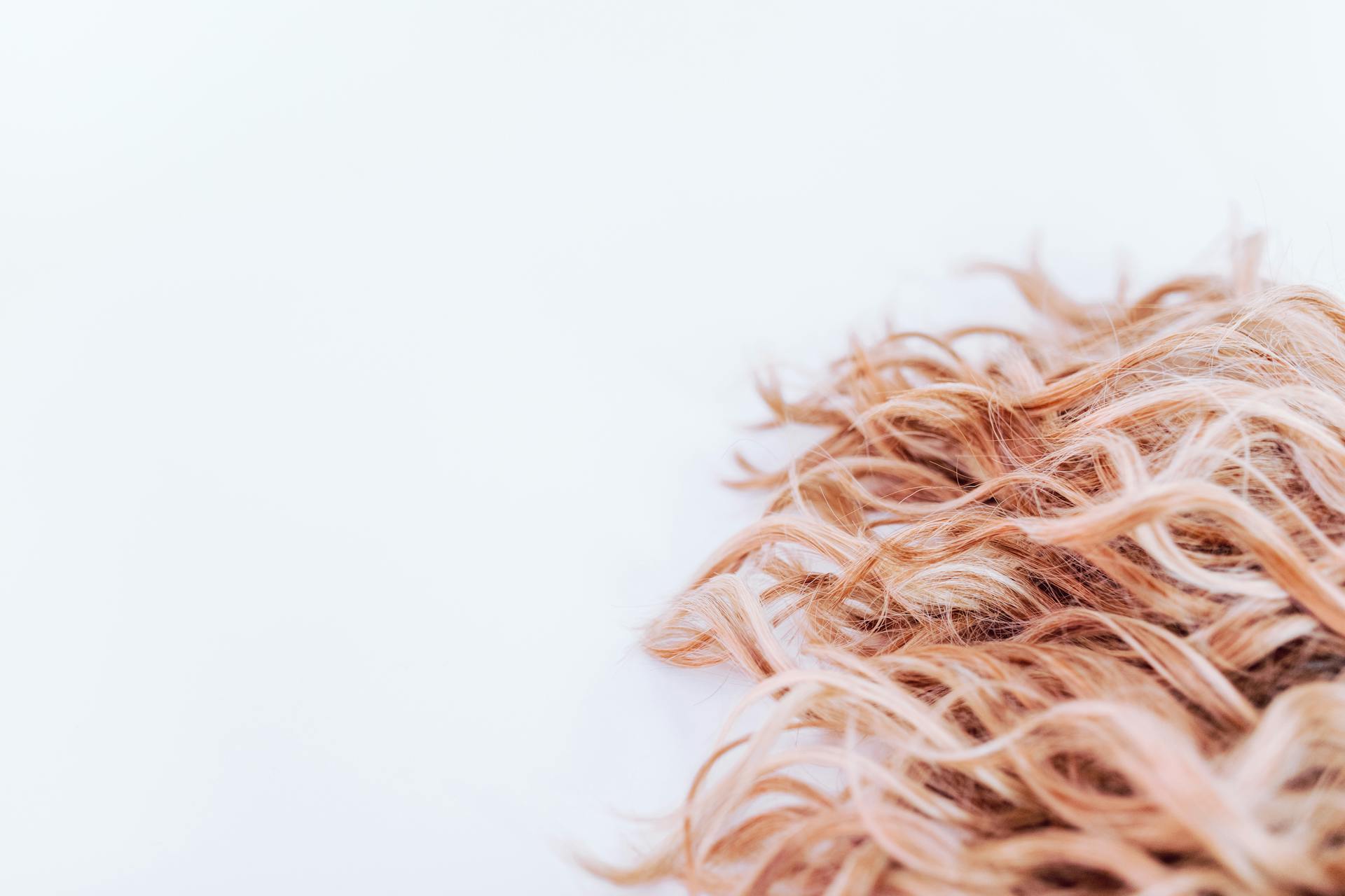 Brown and White Fur on White Surface