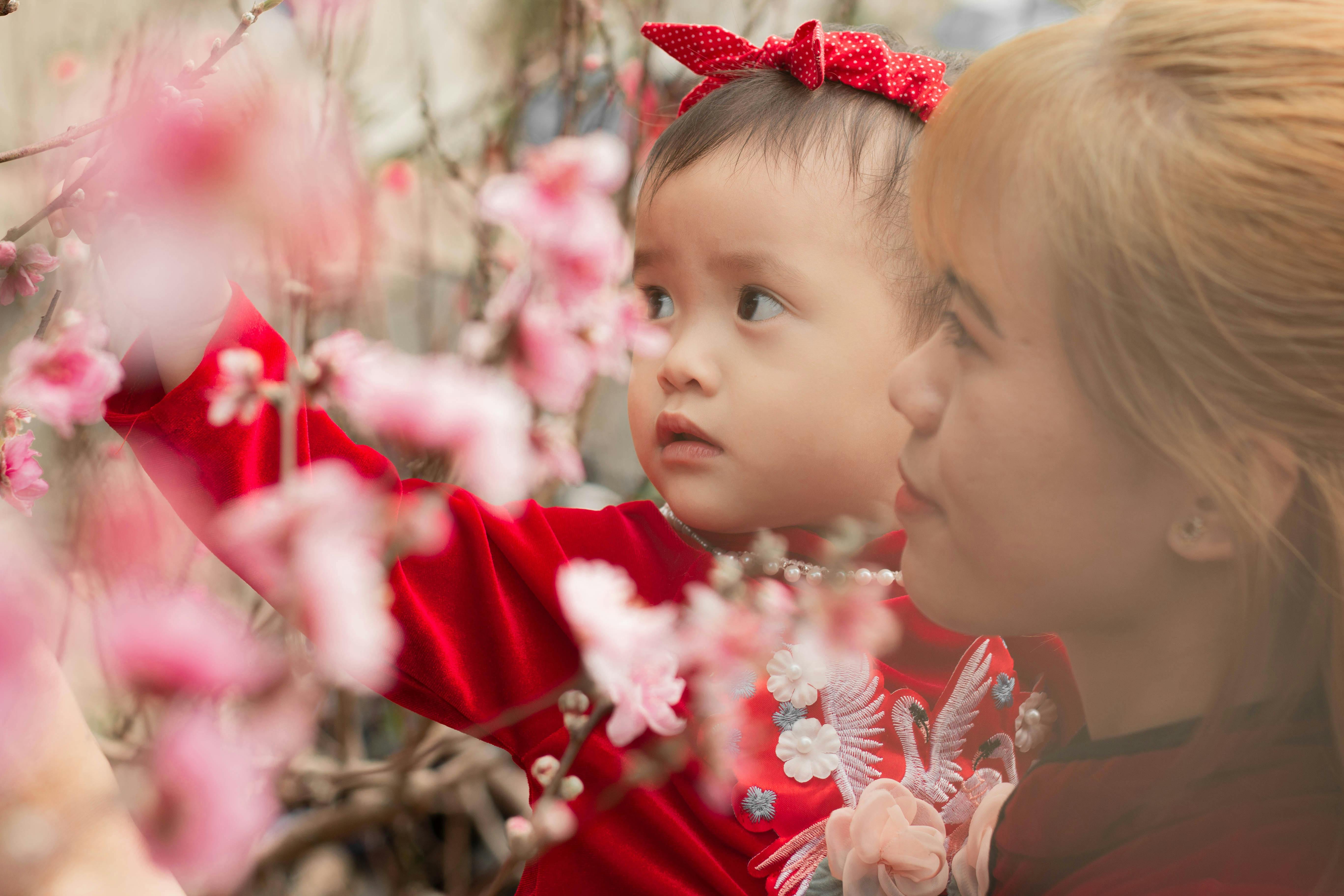 a girl reaching for cherry blossoms