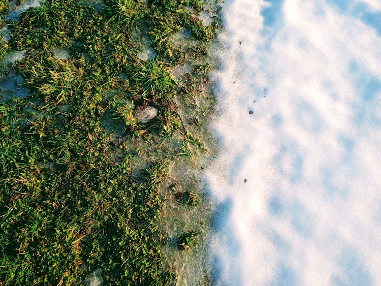 Textured Backdrop Of Snow And Grass In Sunlight