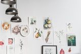 Wall of botanical art prints, by Pavel Danilyuk on Pexels