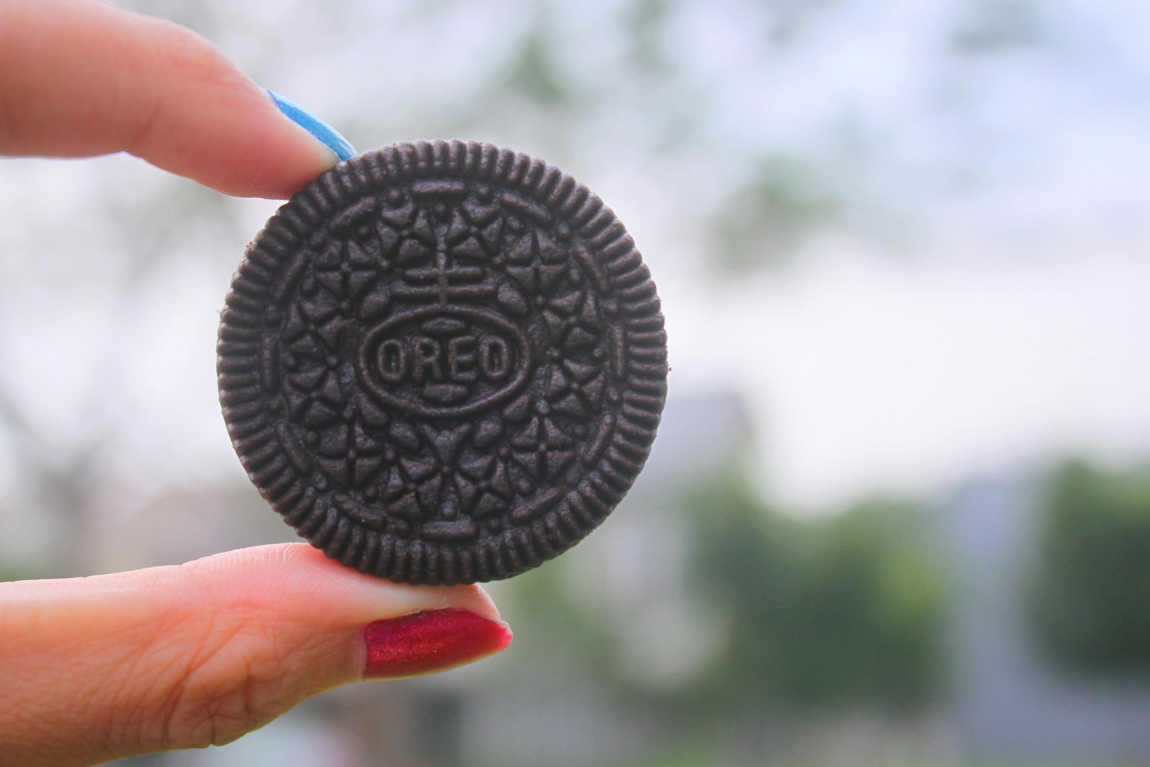 Free stock photo of blue, hand, oreo