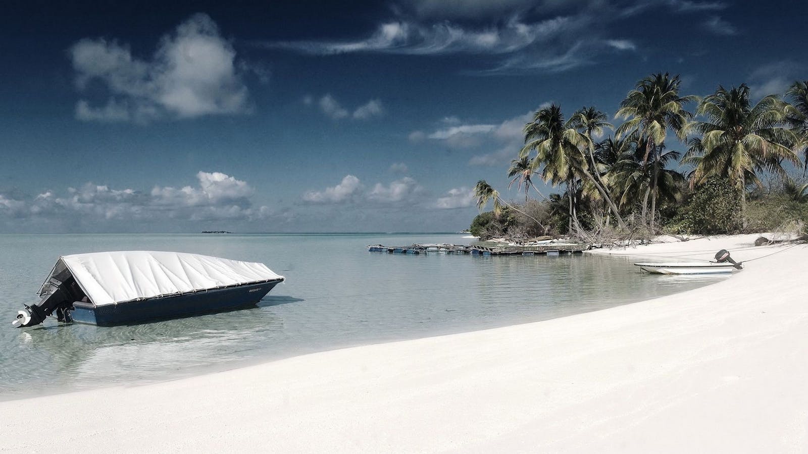 Digital nomad working on a laptop with a scenic city view