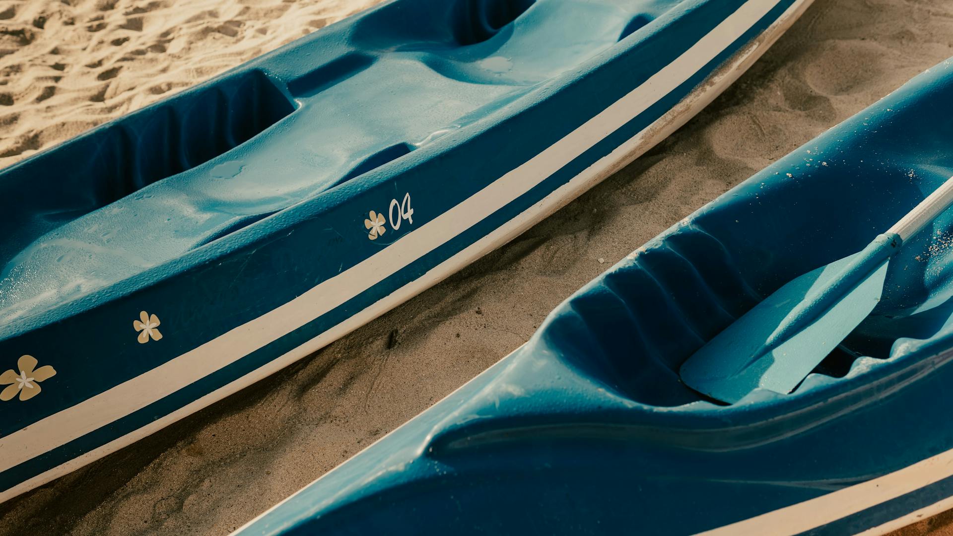 From above of modern kayaks with paddle placed on sandy beach on sunny day