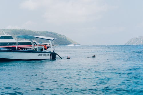 Picturesque scenery of modern yachts moored on rippling water of blue sea surrounded by rocky hills on sunny day