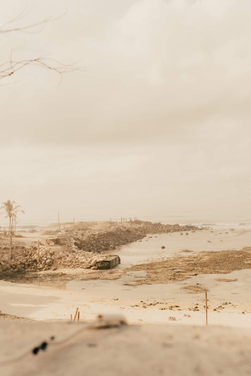 คลังภาพถ่ายฟรี ของ ชายหาด, ซีเปียกระชับ, ทราย