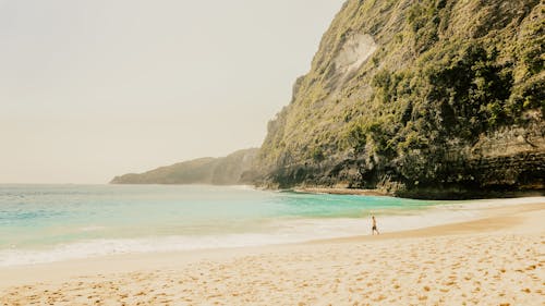 A Person Walking on the Beach