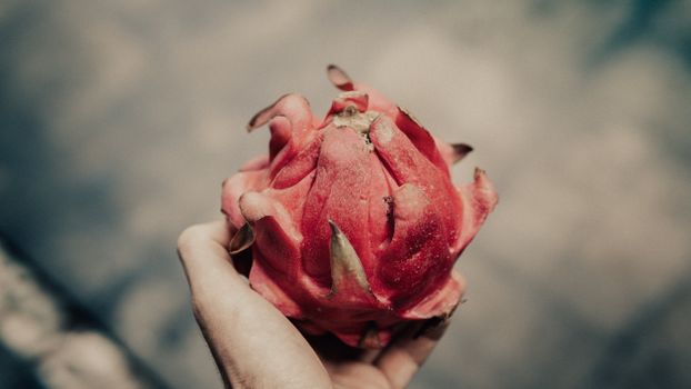 A hand holding a fresh dragon fruit with a blurred outdoor background.