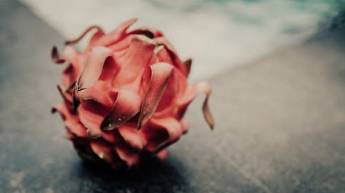 A Blurred Photo of a Dragon Fruit