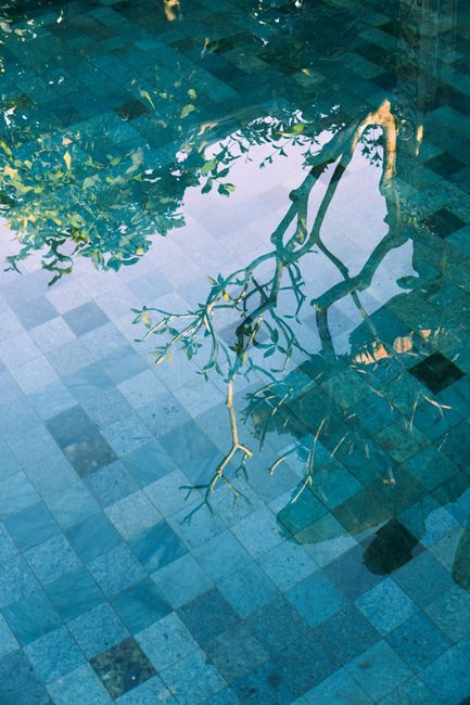 A tranquil image of tree branches reflecting in a tiled pool with clear blue water.