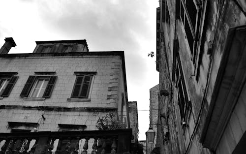 Foto d'estoc gratuïta de ciutat, ciutat en blanc i negre, edificis