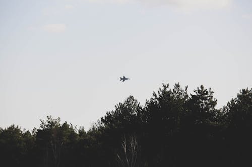 Free stock photo of fighter jet, nature, tree s