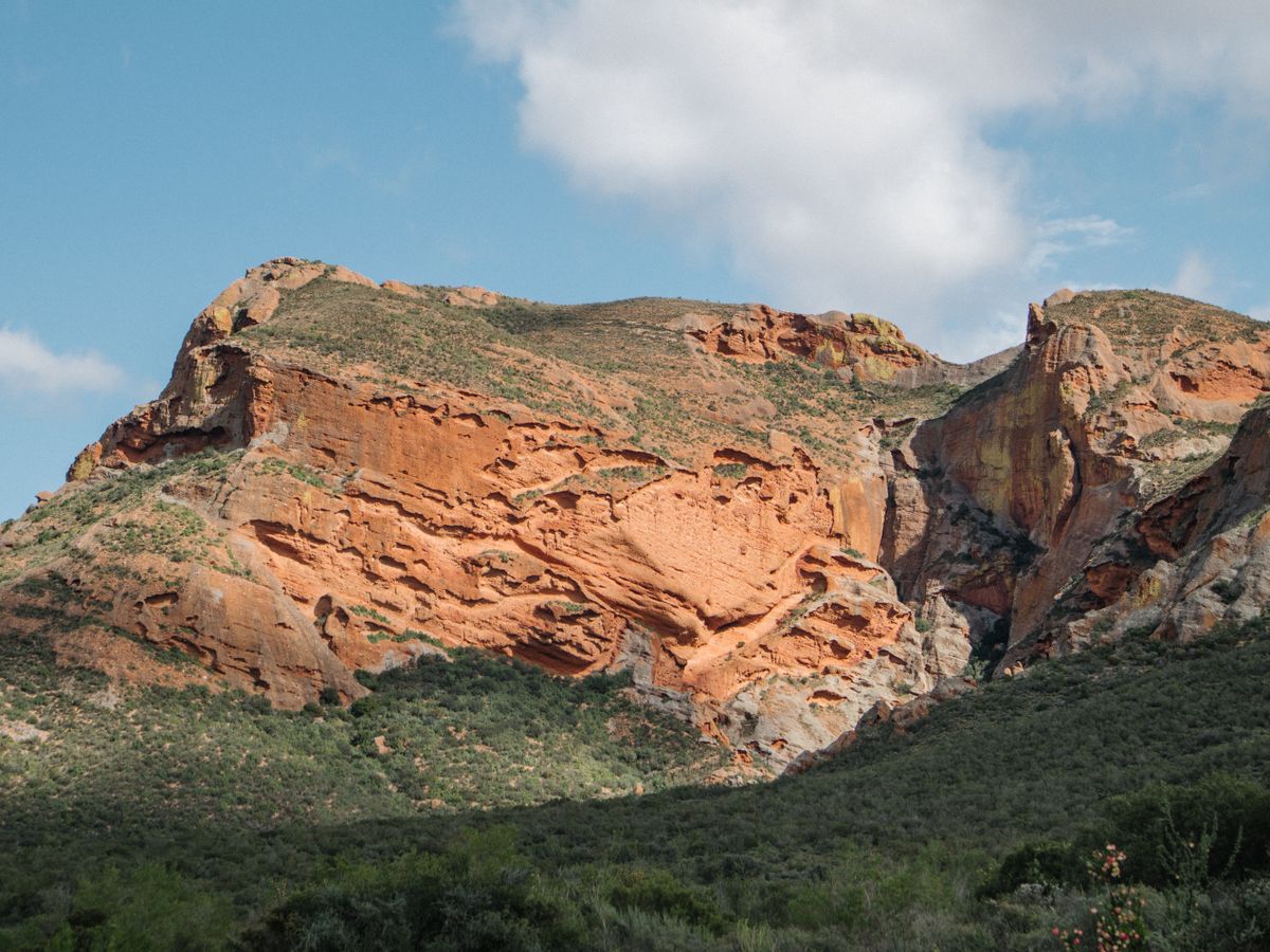 14 Day (Flexible) Art Retreat in Beautiful Studio in South Africa 1