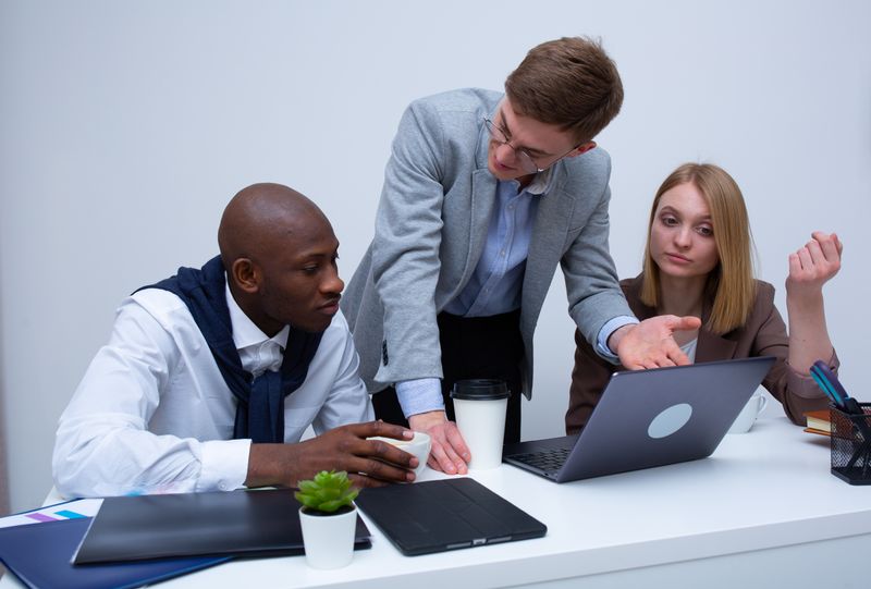 Professional Project Manager