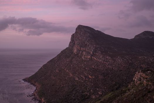 Cape Point and Boulders penguins — Cape Town