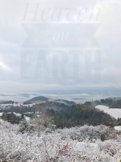 겨울, 꽁꽁 언, 땅의 무료 스톡 사진