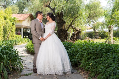 Foto profissional grátis de amor, ao ar livre, árvores