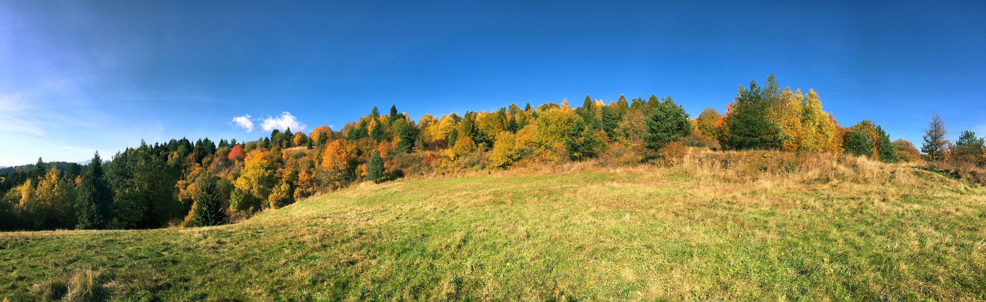 Free Stock Photo Of Blue Sky Country Forest free-stock-photo-of-blue-sky-country-forest