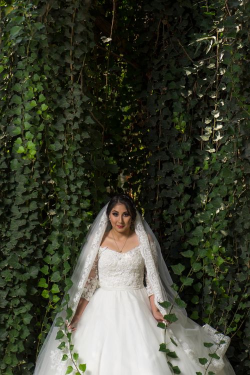Free Beautiful bride in a wedding dress posing amidst lush green ivy, showcasing elegance and joy outdoors. Stock Photo