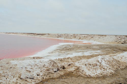 Pink Lake near Salt Rock Shore