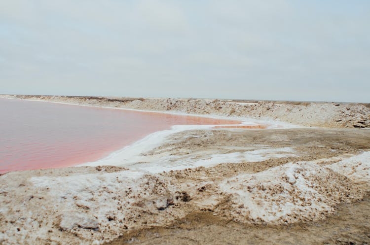 Pink Lake Near Salt Rock Shore